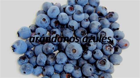 blueberry in spanish|blueberry in spanish mexico.